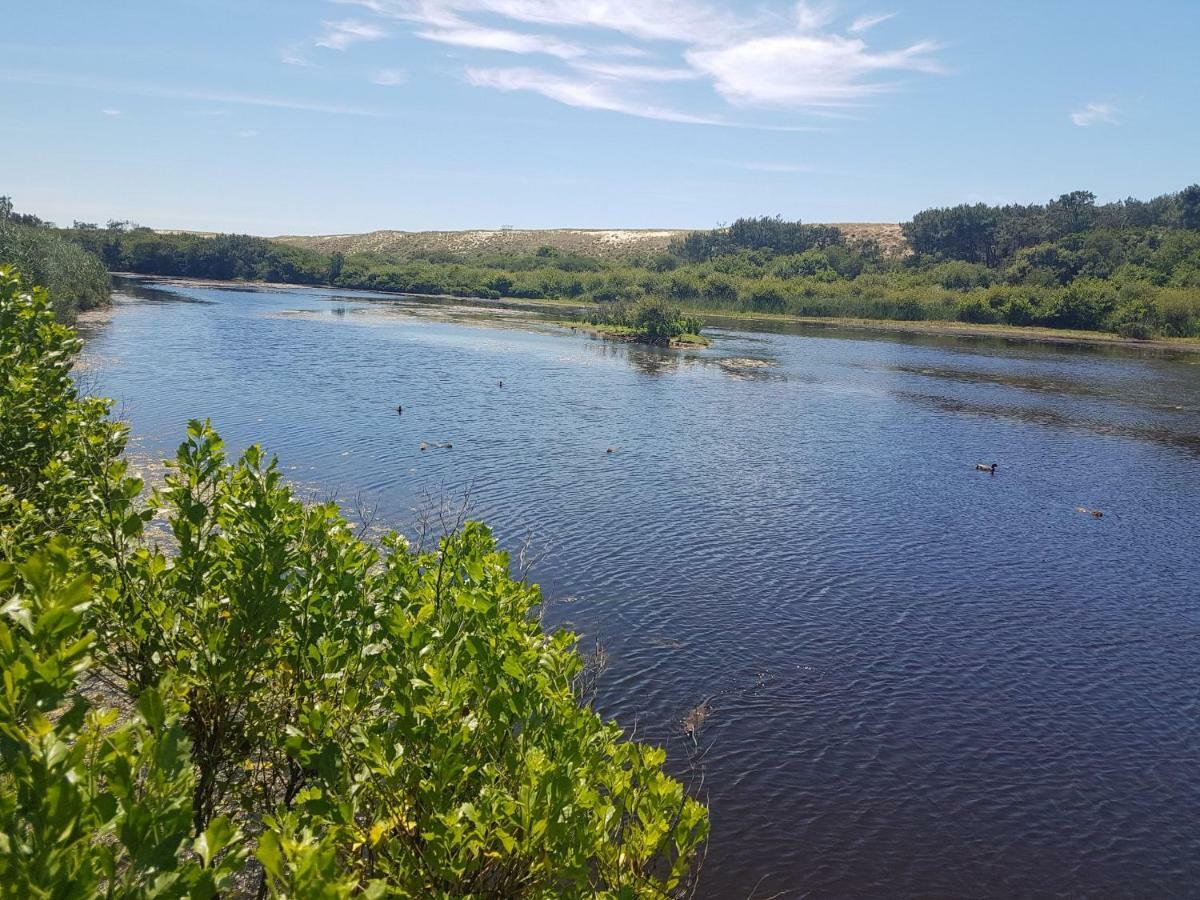 La Pinede Oceane,400M Des Plages Mimizan-Plage Zewnętrze zdjęcie