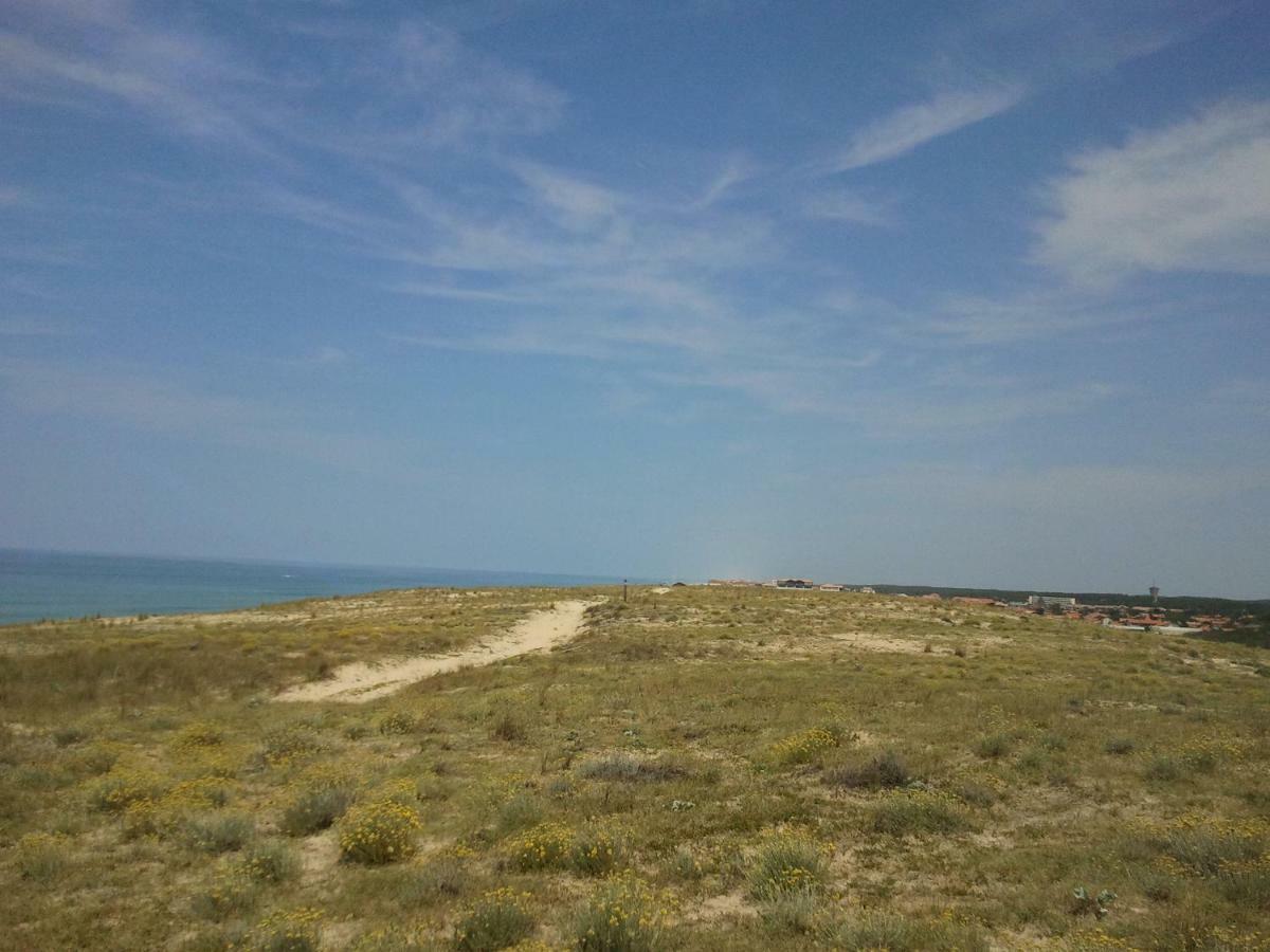 La Pinede Oceane,400M Des Plages Mimizan-Plage Zewnętrze zdjęcie