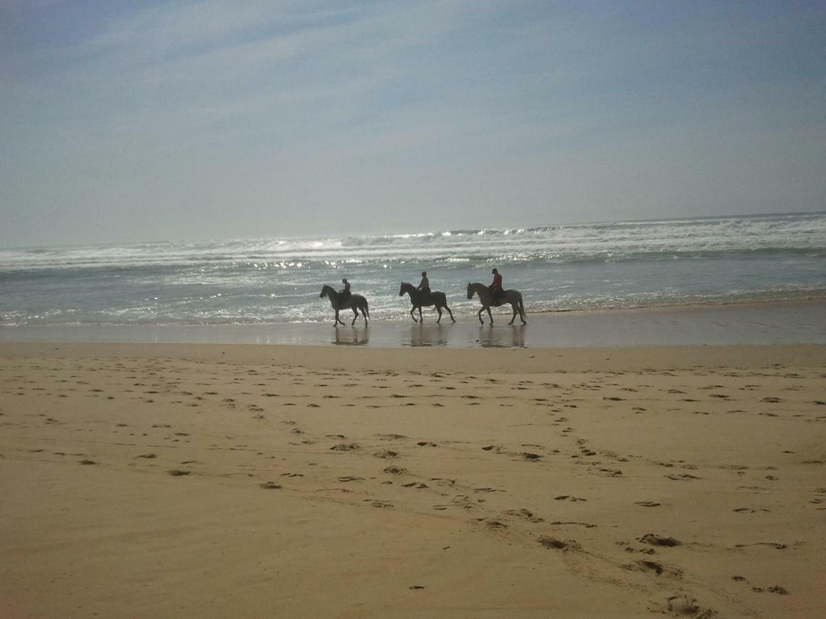 La Pinede Oceane,400M Des Plages Mimizan-Plage Zewnętrze zdjęcie