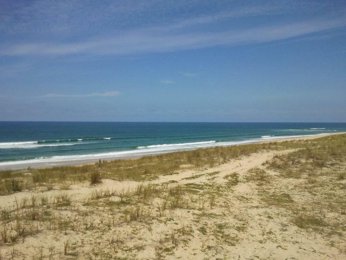 La Pinede Oceane,400M Des Plages Mimizan-Plage Zewnętrze zdjęcie