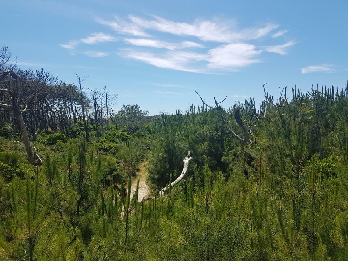 La Pinede Oceane,400M Des Plages Mimizan-Plage Zewnętrze zdjęcie